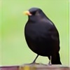 Bird007's avatar