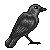 BirdInc's avatar