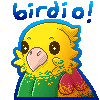 birdio's avatar