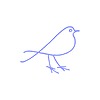 birdooz's avatar
