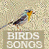 Birds-songs's avatar
