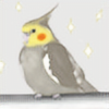 birdsarecooler's avatar