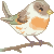 BirdsSong's avatar