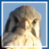 Birdwatcher-Algren's avatar