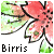 birris's avatar