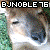 bjnoble76's avatar