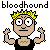 bl00dh0und's avatar