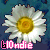 bl0ndie-babe's avatar
