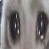 Blaaaaaaieiei's avatar