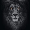 black-lion2's avatar