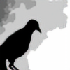 Blackbird-Studio's avatar