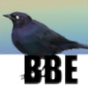 blackbirdeast's avatar