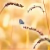 BlackCat-Flowering's avatar