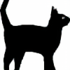 blackcat-in-tokyo's avatar