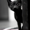 blackkittycatss's avatar
