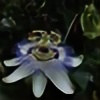 blackpassiflora's avatar
