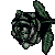 BlackRoseDivider1's avatar