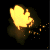 Blanket-light's avatar