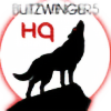 Blitzwinger5's avatar