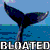 Bloated-Whale's avatar