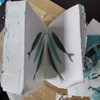 bloomdepot's avatar