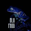 blu-frog's avatar