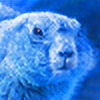 blue-beaver's avatar