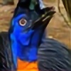blue-bolt-cross's avatar