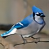 Blue-Jay-Kenway's avatar
