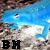 blue-newt's avatar