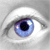blue-protozoo's avatar