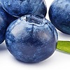 bluebarry3793's avatar