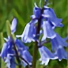 bluebellgarden's avatar