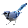 bluebird71's avatar