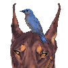 bluebirdiee's avatar