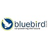 bluebirdsolar's avatar
