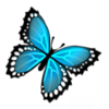 BlueButterflyStudio's avatar