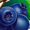 Bluechompa's avatar