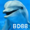 BlueDolphin888's avatar