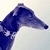BlueGreyhound's avatar