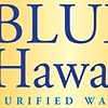 bluehawaiiwater1's avatar