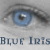 blueiris67's avatar
