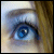 bluemuffin's avatar