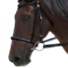 Bluenighthorse's avatar