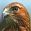 BlueSkyWarhawk's avatar