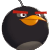 bombbirdplz's avatar
