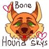 Bonehoundskys's avatar