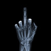 BonelessAlkalize's avatar