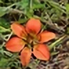 botanicus-fireside's avatar