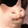 Boundcorner's avatar